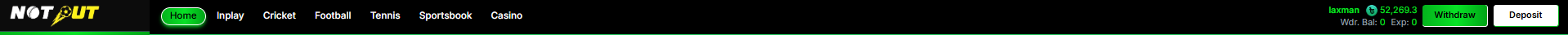 Logged-in header